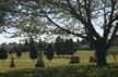 Cemetery, Canada Stock Photos