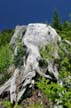 Cypress Mountain, West Vancouver