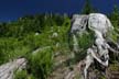 Cypress Mountain, West Vancouver