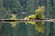 Plants, Canada Stock Photos