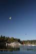 Coal Harbour Boats, Canada Stock Photos