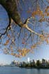 Downtown Vancouver, Stanley Park View