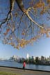 Downtown Vancouver, Stanley Park View