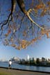 Downtown Vancouver, Stanley Park View