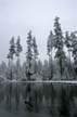 Winter Scenes, Burnaby Park