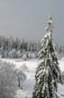 Burnaby Centeral Park, Canada Stock Photos