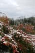 Winter Scenes, Canada Stock Photos