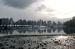 Downtown Vancouver Skyline, Coal Harbour