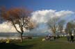 Winter Scenes, Kitsilano Beach