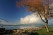 Winter Scenes, Kitsilano Beach