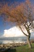 Winter Scenes, Kitsilano Beach