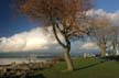 Winter Scenes, Kitsilano Beach