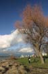 Winter Scenes, Kitsilano Beach