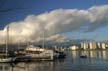 Westend Skyline, Downtown Vancouver