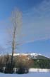 Alta Lake, Whistler