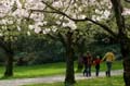 Spring Time, Stanley Park