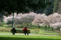 Spring Time, Stanley Park