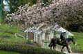 Spring Time, Stanley Park