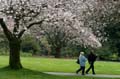 Spring Time, Stanley Park