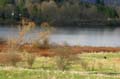 Burnaby Deer Lake, Deer Lake Park