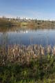 Burnaby Deer Lake, Deer Lake Park