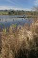 Burnaby Deer Lake, Deer Lake Park