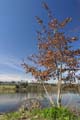 Burnaby Deer Lake, Deer Lake Park