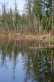 Burnaby Deer Lake, Deer Lake Park