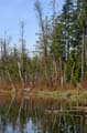 Burnaby Deer Lake, Deer Lake Park