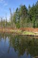 Burnaby Deer Lake, Deer Lake Park