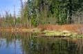 Burnaby Deer Lake, Deer Lake Park