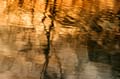 Reflections, Canada Stock Photos