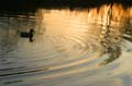 Reflections, Canada Stock Photos