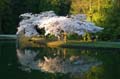 Burnaby Central Park, Canada Stock Photos