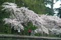 Burnaby Central Park, Canada Stock Photos