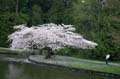 Burnaby Central Park, Canada Stock Photos