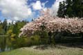 Burnaby Central Park, Canada Stock Photos