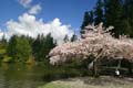 Burnaby Central Park, Canada Stock Photos