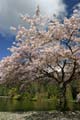 Burnaby Central Park, Canada Stock Photos