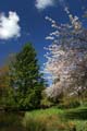 Burnaby Central Park, Canada Stock Photos