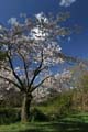 Burnaby Central Park, Canada Stock Photos