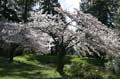 Burnaby Central Park, Canada Stock Photos