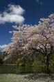 Burnaby Central Park, Canada Stock Photos