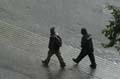 Rain, Canada Stock Photos