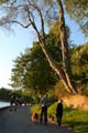 Seawall Walk, Stanley Park