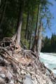 Whistler, Garibaldi Provincial Park