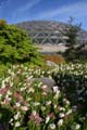 Bloedel Floral Conservatory, Queen Elizabeth Park