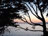 Sunset, English Bay