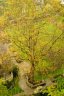 Spring Rain, Canada Stock Photographs