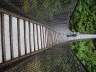 Lynn Canyon Suspension Bridge, Canada Stock Photographs